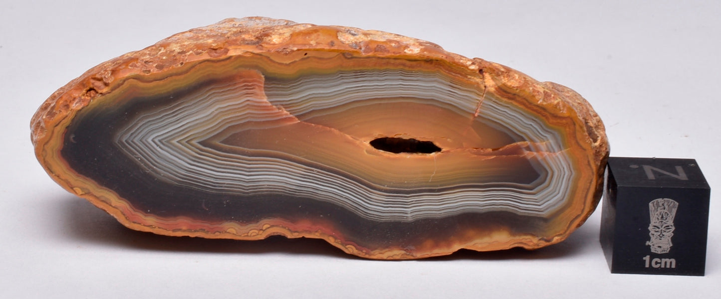 AGATE CREEK, Polished AGATE, AUSTRALIA P650