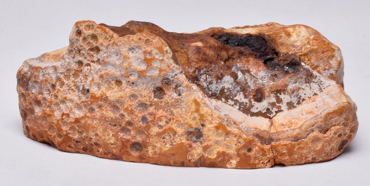 AGATE CREEK, Polished AGATE, AUSTRALIA P650