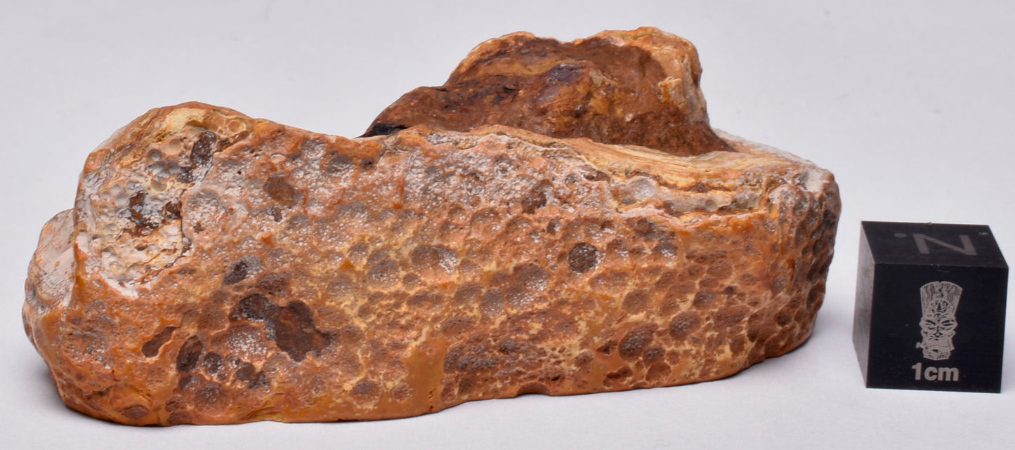 AGATE CREEK, Polished AGATE, AUSTRALIA P650