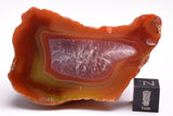 AGATE CREEK, Polished AGATE, AUSTRALIA S602