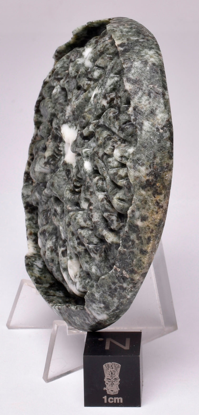 PRESELLI BLUESTONE GREEN MAN P734