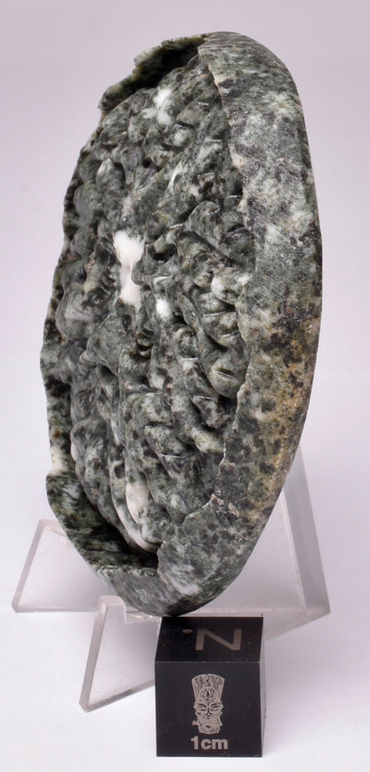PRESELLI BLUESTONE GREEN MAN P734