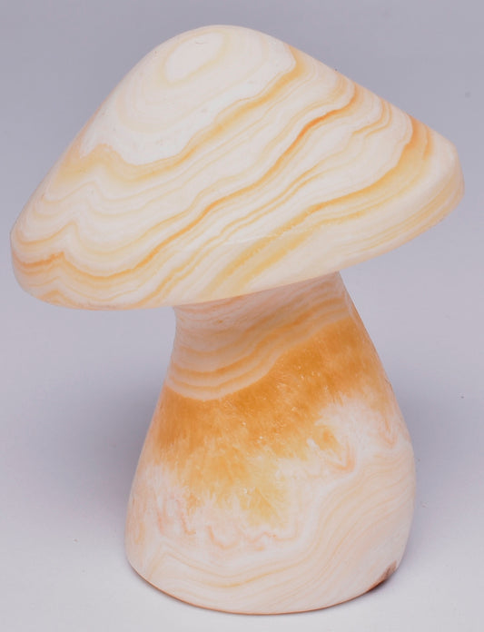 ARAGONITE MUSHROOM CARVING P37