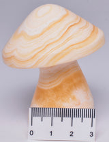 ARAGONITE MUSHROOM CARVING P37