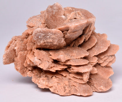 DESERT ROSE FROM Morocco M17