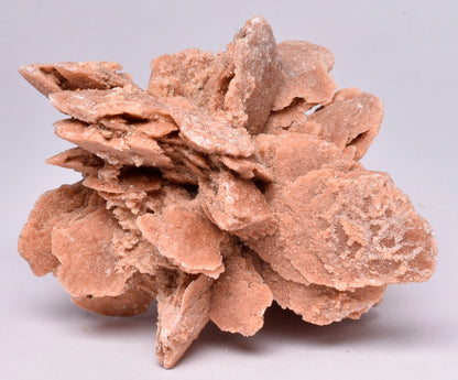 DESERT ROSE FROM Morocco M17