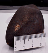 WILUNA METEORITE H5 CHONDRITE, FELL 1967. 118.3 grams, Western Australia MT34