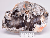 Merlinite, Dendritic Chalcedony, Polished, Western Australia S1016