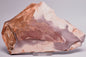 FOSSIL PORPITA LIAONANELLA, MEDUSA, PRE CAMBRIAN, AUSTRALIA F374