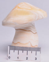 ARAGONITE MUSHROOM CARVING P616