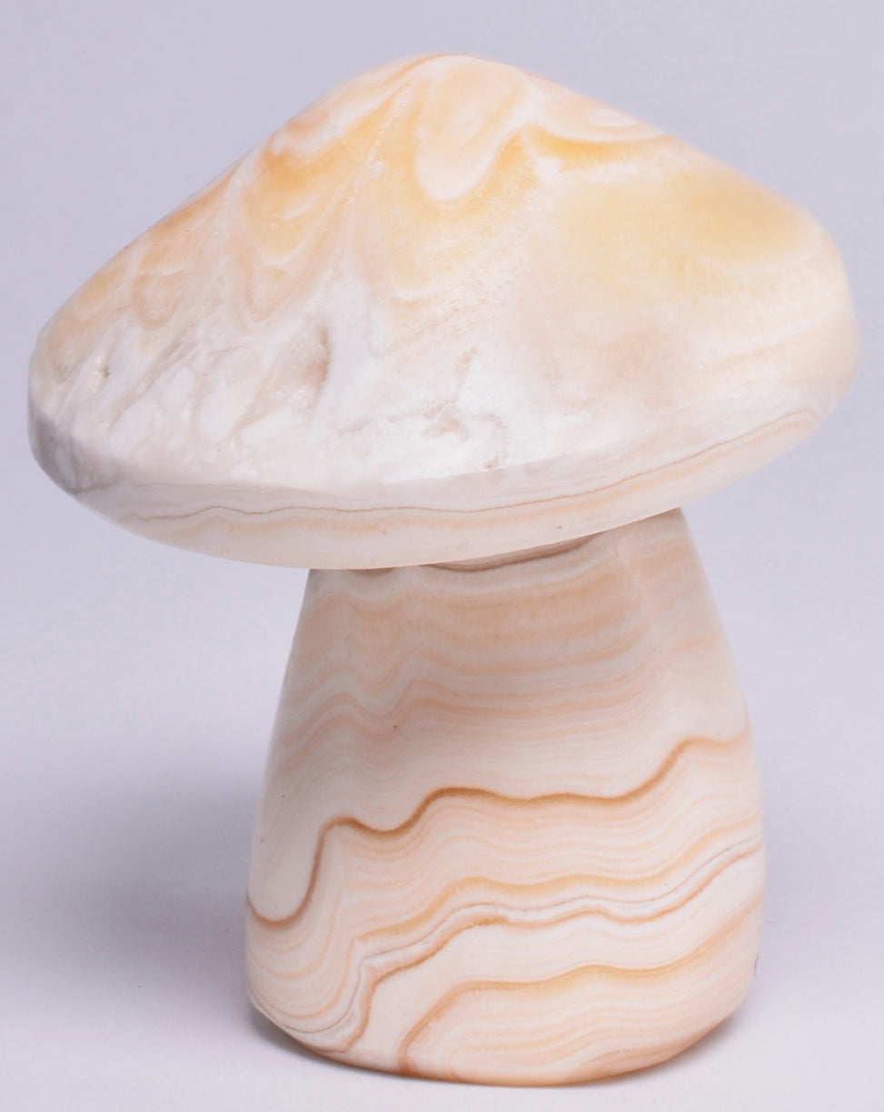 ARAGONITE MUSHROOM CARVING P616