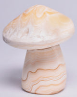 ARAGONITE MUSHROOM CARVING P616