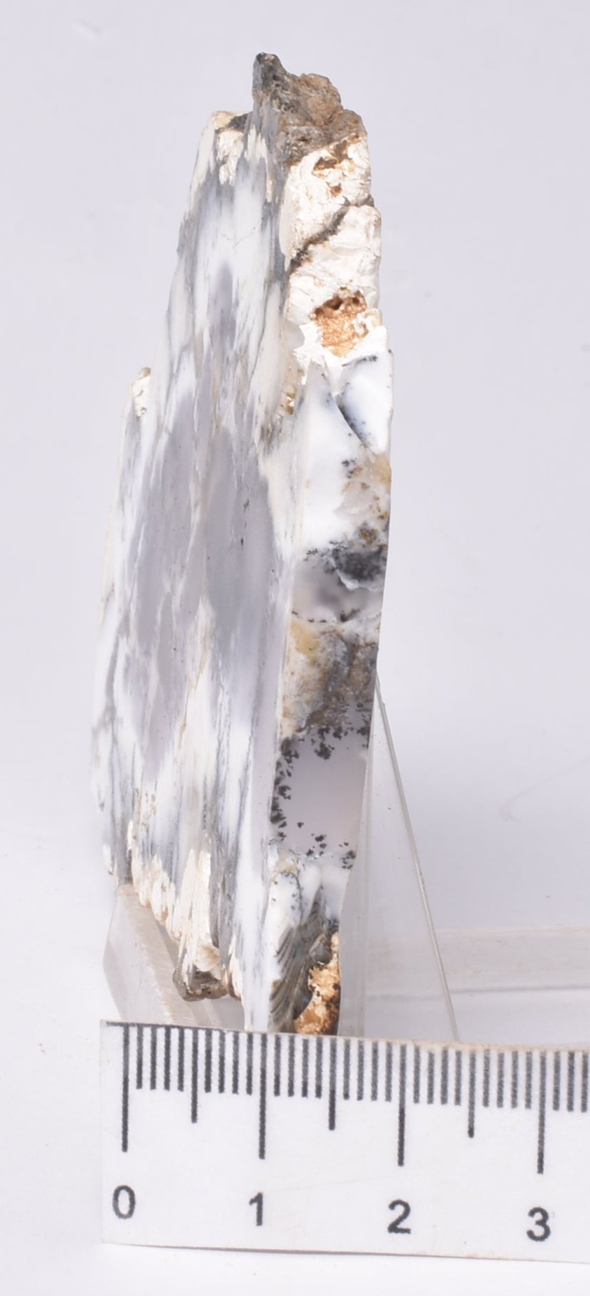 Merlinite, Dendritic Chalcedony, Polished, Western Australia S1024