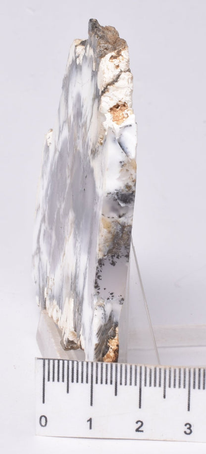 Merlinite, Dendritic Chalcedony, Polished, Western Australia S1024
