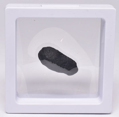 AUSTRALITE, METEORITE FROM SOUTH AUSTRALIA MT71