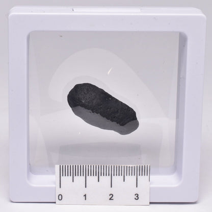 AUSTRALITE, METEORITE FROM SOUTH AUSTRALIA MT71