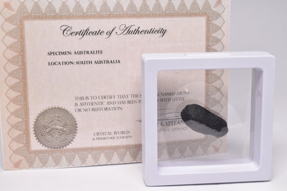 AUSTRALITE, METEORITE FROM SOUTH AUSTRALIA MT71