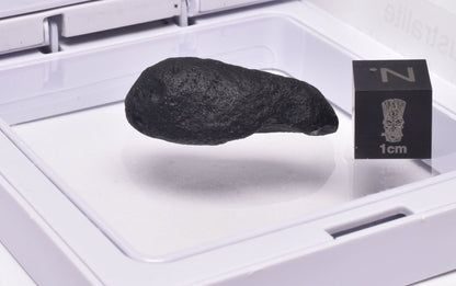 AUSTRALITE, METEORITE FROM SOUTH AUSTRALIA MT71