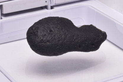 AUSTRALITE, METEORITE FROM SOUTH AUSTRALIA MT71