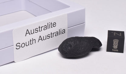 AUSTRALITE, METEORITE FROM SOUTH AUSTRALIA MT71