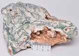MOSS AGATE ROUGH ROCK R06