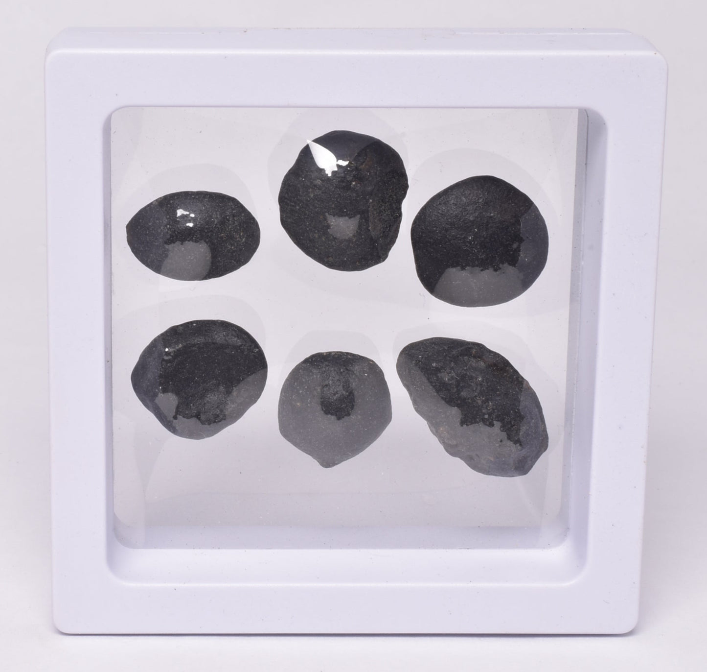 6 x AUSTRALITE, METEORITE FROM SOUTH AUSTRALIA MT129