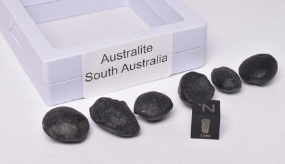 6 x AUSTRALITE, METEORITE FROM SOUTH AUSTRALIA MT129