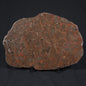INZERIA INTIA STROMATOLITE, Proterozoic, Australia 8VA017