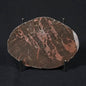INZERIA INTIA STROMATOLITE, Proterozoic, Australia 8VA021