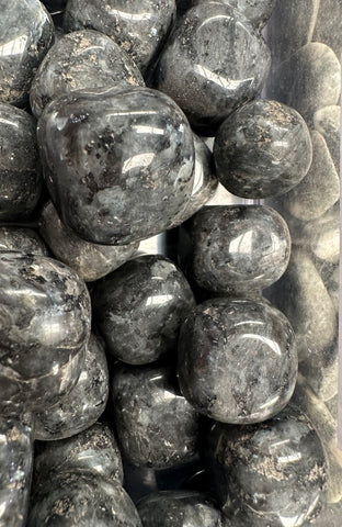 LARVIKITE POLISHED CRYSTAL TUMBLE T23