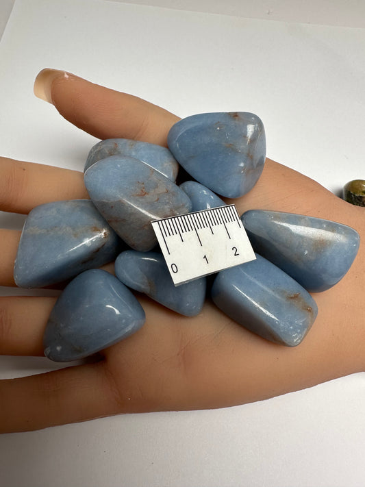 ANGELITE POLISHED CRYSTAL TUMBLES T17