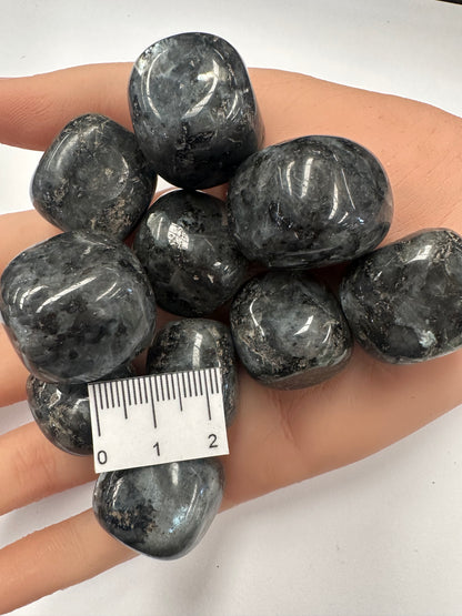 LARVIKITE POLISHED CRYSTAL TUMBLE T23
