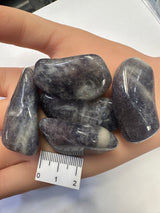 IOLITE POLISHED TUMBLE T42