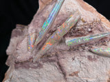 OPAL BELEMNITE FOSSILS IN MATRIX, Australia GOB001