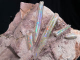 OPAL BELEMNITE FOSSILS IN MATRIX, Australia GOB001