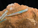 OPAL BELEMNITE FOSSILS IN MATRIX, Australia GOB002