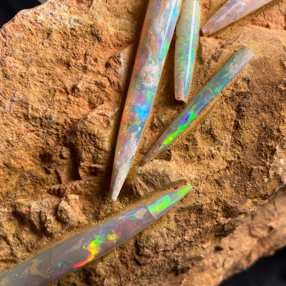 OPAL BELEMNITE FOSSILS IN MATRIX, Australia GOB002