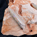 OPAL BELEMNITE FOSSILS IN MATRIX, Lower Cretaceous, Australia GOB004