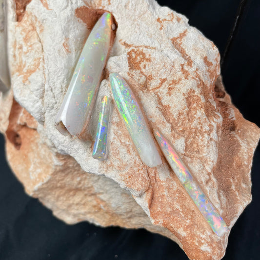 OPAL BELEMNITE FOSSILS IN MATRIX, Lower Cretaceous, Australia GOB004