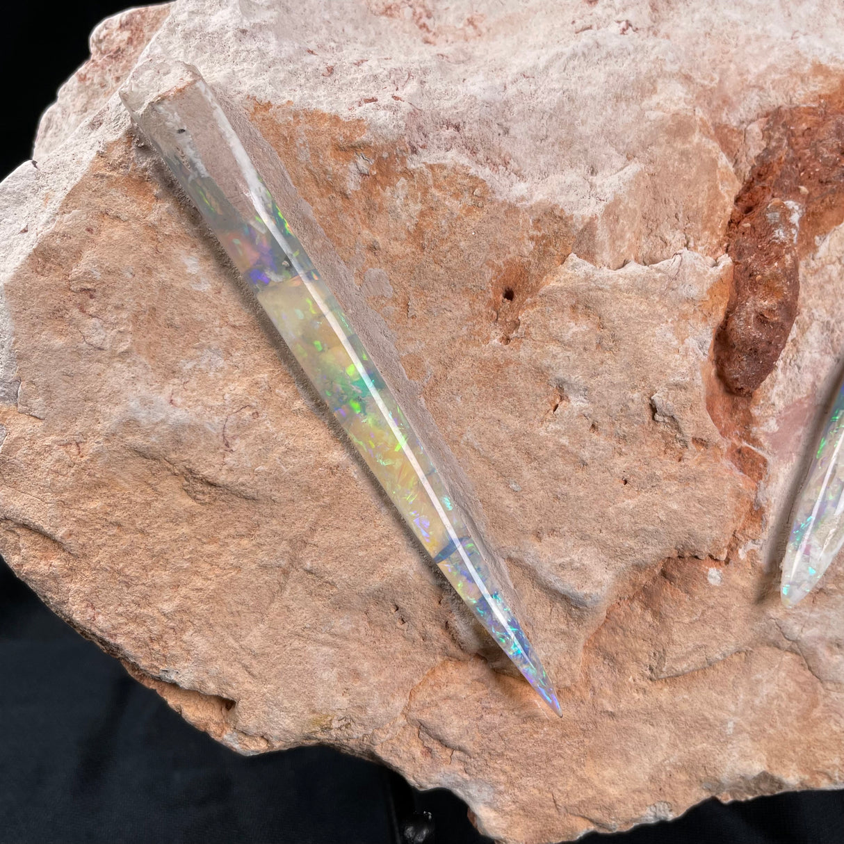 OPAL BELEMNITE FOSSILS IN MATRIX, Lower Cretaceous, Australia GOB005