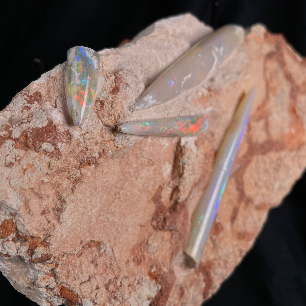 OPAL BELEMNITE FOSSILS IN MATRIX, Lower Cretaceous, Australia GOB006