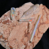 OPAL BELEMNITE FOSSILS IN MATRIX, Lower Cretaceous, Australia GOB006