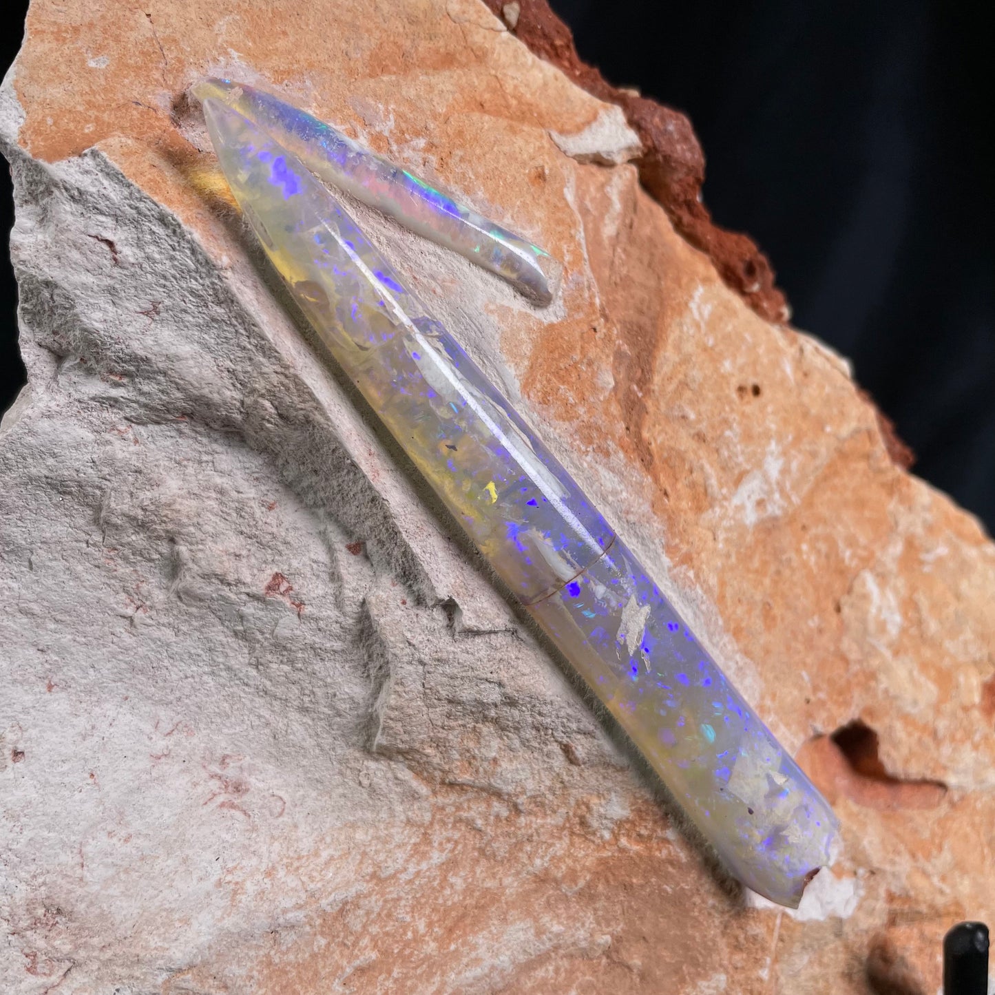 OPAL BELEMNITE FOSSILS IN MATRIX, Lower Cretaceous, Australia GOB007