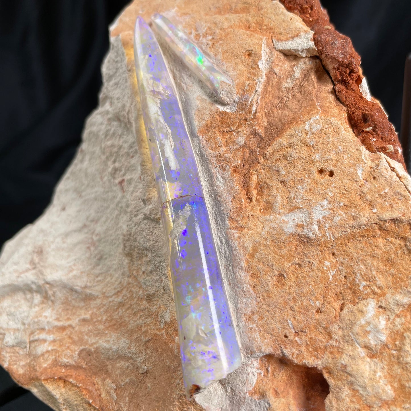 OPAL BELEMNITE FOSSILS IN MATRIX, Lower Cretaceous, Australia GOB007