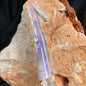OPAL BELEMNITE FOSSILS IN MATRIX, Lower Cretaceous, Australia GOB007