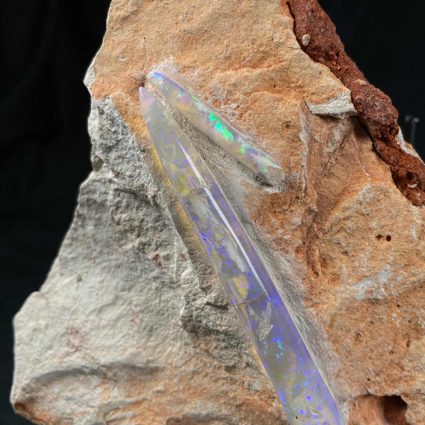 OPAL BELEMNITE FOSSILS IN MATRIX, Lower Cretaceous, Australia GOB007