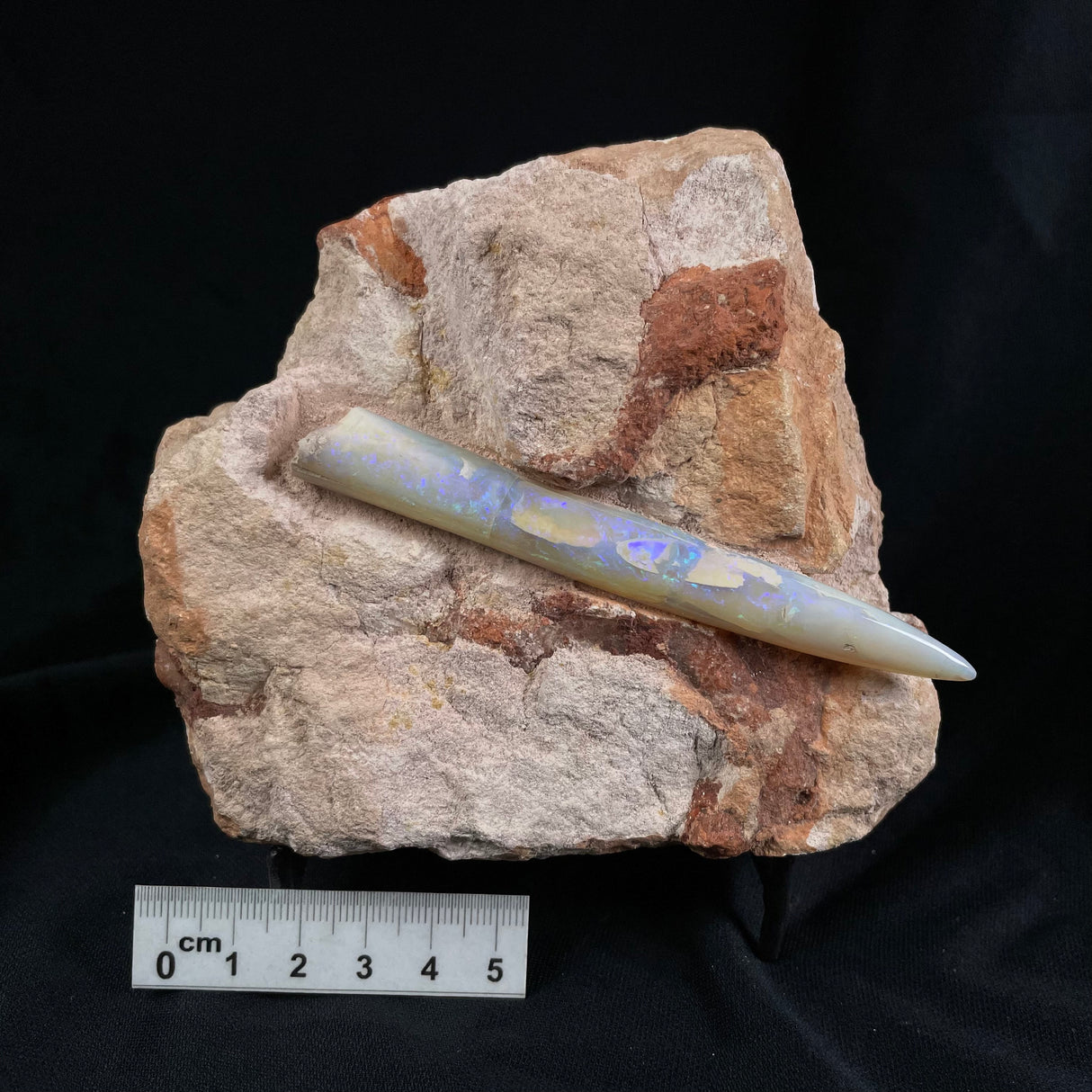 OPAL BELEMNITE FOSSIL IN MATRIX, Lower Cretaceous, Australia GOB008