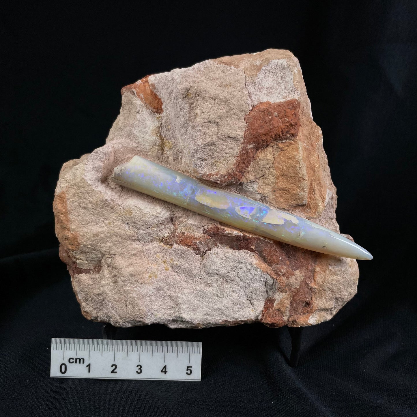OPAL BELEMNITE FOSSIL IN MATRIX, Lower Cretaceous, Australia GOB008