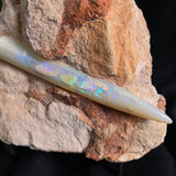 OPAL BELEMNITE FOSSIL IN MATRIX, Lower Cretaceous, Australia GOB008
