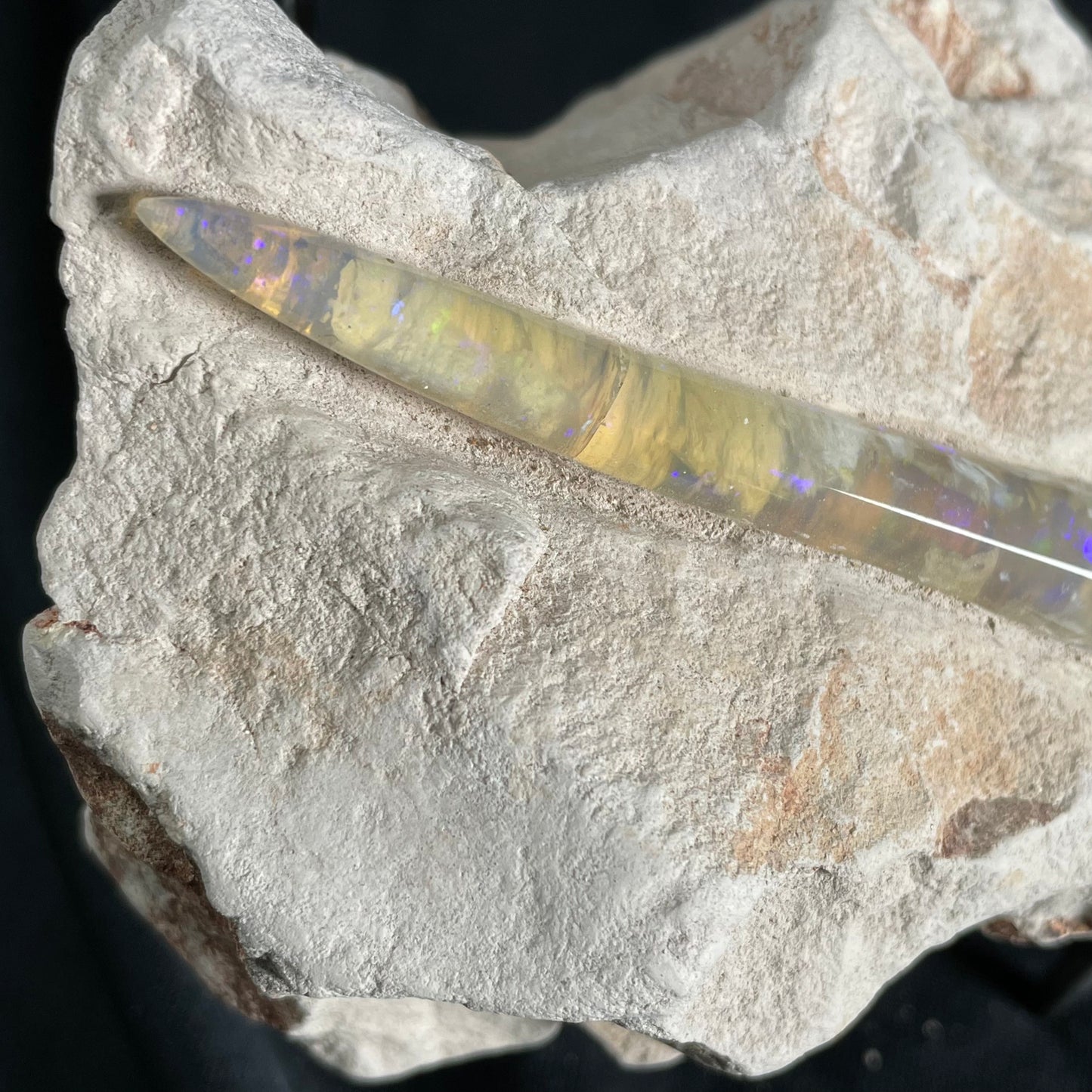 OPAL BELEMNITE FOSSIL IN MATRIX, Lower Cretaceous, Australia GOB011